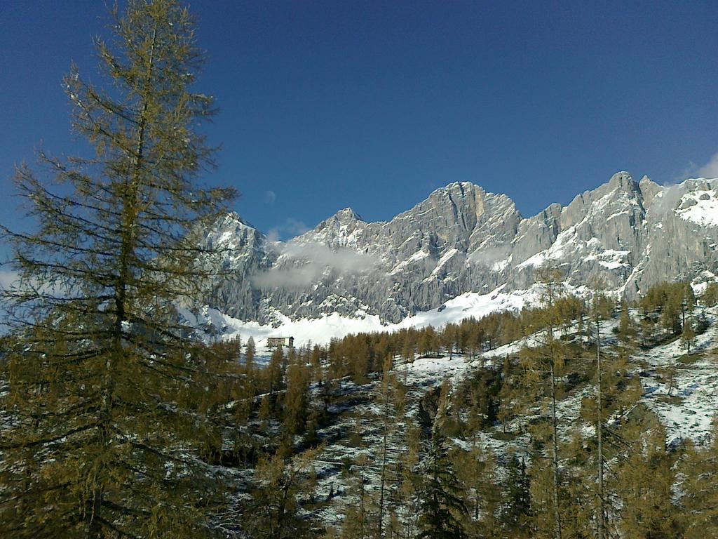 Gloesalm Διαμέρισμα Ramsau am Dachstein Δωμάτιο φωτογραφία