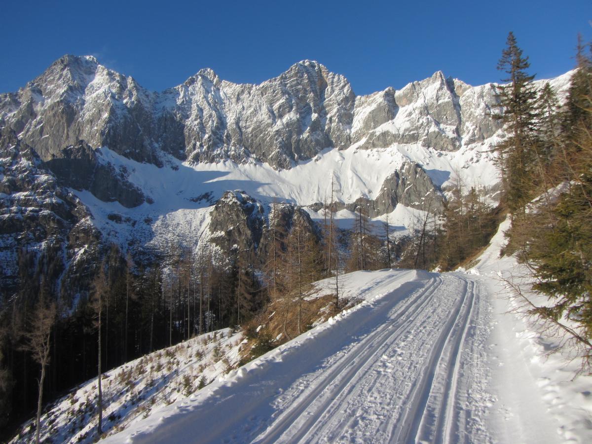 Gloesalm Διαμέρισμα Ramsau am Dachstein Εξωτερικό φωτογραφία